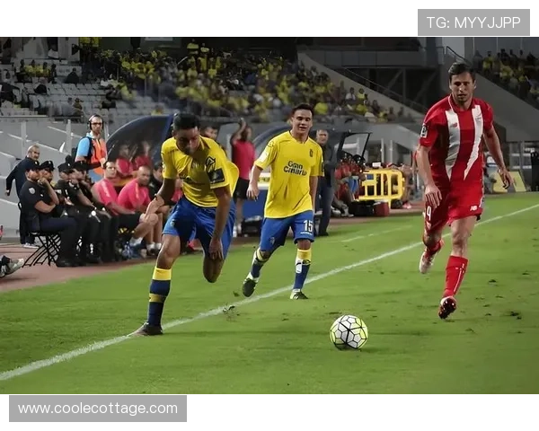 哈维·西蒙斯本赛季表现稳健,荷兰天才持续提升竞争力