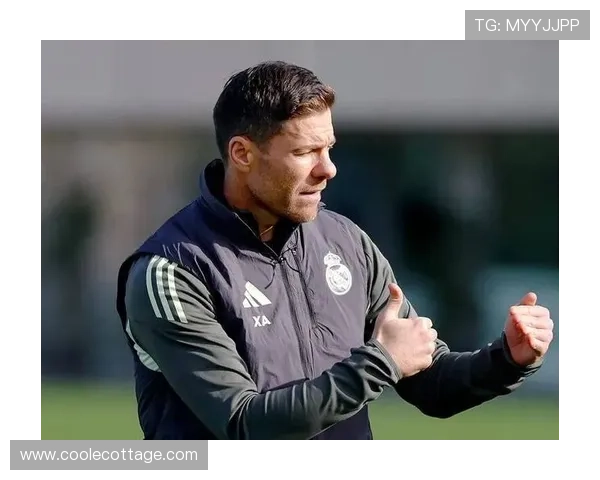 埃尔切队史升甲历程与西甲征战表现回顾