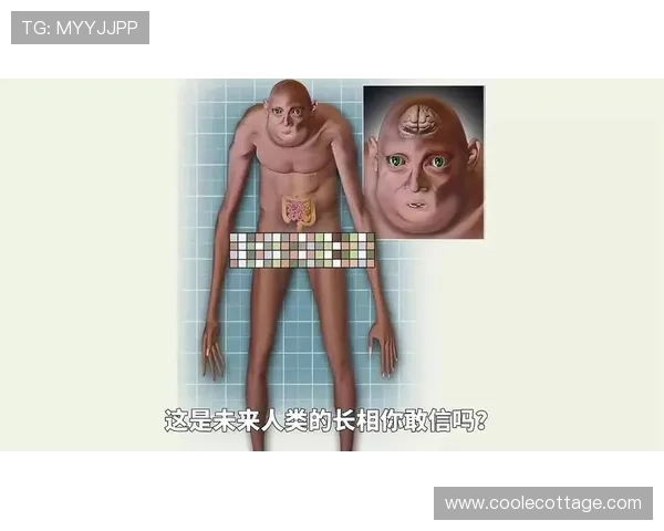 沃特金斯当前上限与未来技术进化空间分析